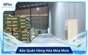 Mùa Mưa Làm Sao Để Hàng Hóa Không Bị Ẩm Mốc?