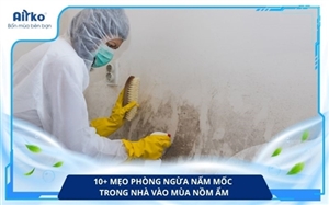 10+ mẹo phòng ngừa nấm mốc trong nhà vào mùa nồm ẩm