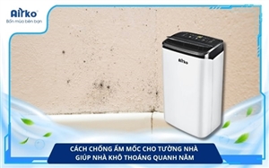 Cách Chống Ẩm Mốc Cho Tường Nhà Giúp Nhà Khô Thoáng Quanh Năm