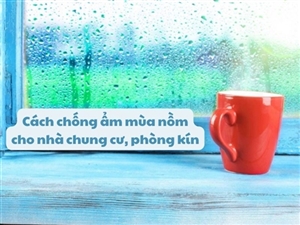 Cách chống ẩm mùa nồm cho nhà chung cư, phòng kín