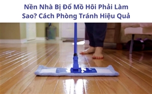 Nền Nhà Bị Đổ Mồ Hôi Phải Làm Sao? Cách Phòng Tránh Hiệu Quả