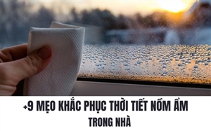 +9 Mẹo Khắc Phục Thời Tiết Nồm Ẩm Trong Nhà