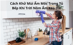 Cách Khử Mùi Ẩm Mốc Trong Tủ Bếp Khi Trời Nồm Ẩm Kéo Dài