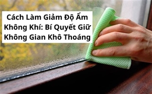 Cách Làm Giảm Độ Ẩm Không Khí: Bí Quyết Giữ Không Gian Khô Thoáng