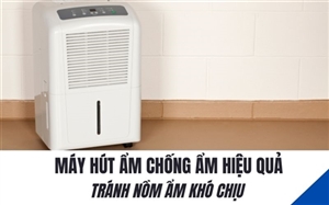 Máy Hút Ẩm Chống Ẩm Hiệu Quả - Tránh Nồm Ẩm Khó Chịu