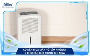 Có Nên Mua Máy Hút Ẩm Không? 7 Điều Cần Biết Trước Khi Mua