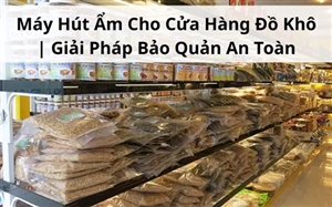 Máy Hút Ẩm Cho Cửa Hàng Đồ Khô | Giải Pháp Bảo Quản An Toàn