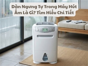 Dàn Ngưng Tự Trong Máy Hút Ẩm Là Gì? Tìm Hiểu Chi Tiết
