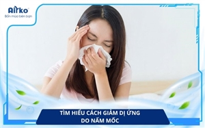 Cách Giảm Dị Ứng Do Nấm Mốc Trong Phòng Ngủ, Phòng Khách Và Nhà Tắm 