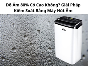 Độ Ẩm 80% Có Cao Không? Giải Pháp Kiểm Soát Bằng Máy Hút Ẩm