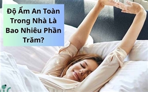 Độ Ẩm An Toàn Trong Nhà Là Bao Nhiêu Phần Trăm?