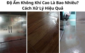 Độ Ẩm Không Khí Cao Là Bao Nhiêu? Cách Xử Lý Hiệu Quả