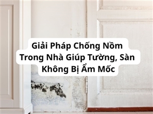 Giải Pháp Chống Nồm Trong Nhà Giúp Tường, Sàn Không Bị Ẩm Mốc
