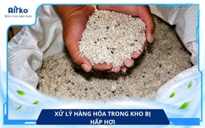 Vì Sao Hàng Hóa Bị Hấp Hơi Trong Kho? Giải Pháp Chống Ẩm Hiệu Quả