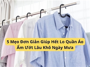 5 Mẹo Đơn Giản Giúp Hết Lo Quần Áo Ẩm Ướt Lâu Khô Ngày Mưa