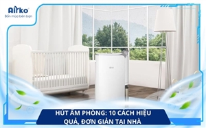Hút Ẩm Phòng: 10 Cách Hiệu Quả, Đơn Giản Tại Nhà 