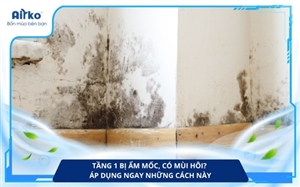 Tầng 1 Bị Ẩm Mốc, Có Mùi Hôi? Áp Dụng Ngay Những Cách Này