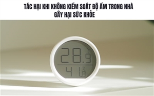 Tác Hại Khi Không Kiểm Soát Độ Ẩm Trong Nhà Gây Hại Sức Khỏe