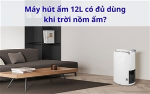 Máy hút ẩm 12L có đủ dùng khi trời nồm ẩm?
