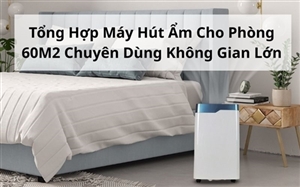 Tổng Hợp Máy Hút Ẩm Cho Phòng 60M2 Chuyên Dùng Không Gian Lớn