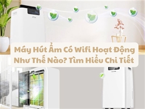 Máy Hút Ẩm Có Wifi Hoạt Động Như Thế Nào? Tìm Hiểu Chi Tiết 