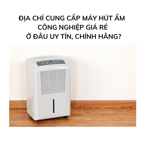 Địa chỉ cung cấp máy hút ẩm công nghiệp giá rẻ ở đâu uy tín, chính hãng?