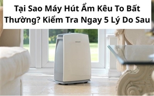 Tại Sao Máy Hút Ẩm Kêu To Bất Thường? Kiểm Tra Ngay 5 Lý Do Sau