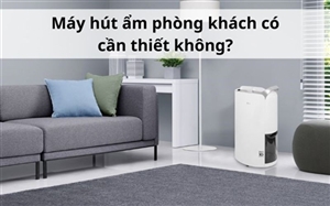Máy hút ẩm phòng khách có cần thiết không?