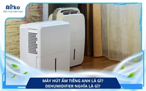 Máy Hút Ẩm Tiếng Anh Là Gì? Dehumidifier Nghĩa Là Gì?