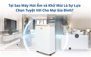 Tại Sao Máy Hút Ẩm và Khử Mùi Là Sự Lựa Chọn Tuyệt Vời Cho Mọi Gia Đình?