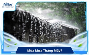 Mùa Mưa Tháng Mấy? Cách Chủ Động Ứng Phó Với Thời Tiết