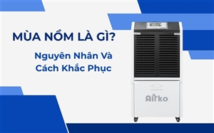 Mùa Nồm Là Gì? Nguyên Nhân Và Cách Khắc Phục