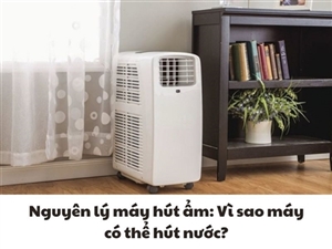 Nguyên lý máy hút ẩm: Vì sao máy có thể hút nước?