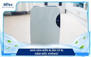 Nhà Gần Biển Bị Ẩm Có Bị Nấm Mốc Không? 