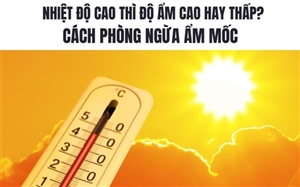 Nhiệt Độ Cao Thì Độ Ẩm Cao Hay Thấp? Cách Phòng Ngừa Ẩm Mốc