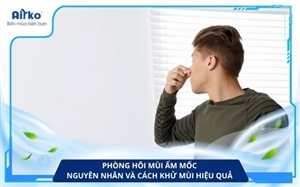 Phòng hôi mùi ẩm mốc: Nguyên nhân và cách khử mùi hiệu quả