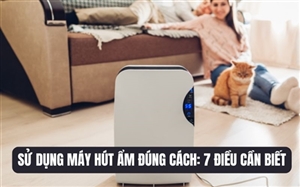 Sử dụng máy hút ẩm đúng cách: 7 điều cần biết