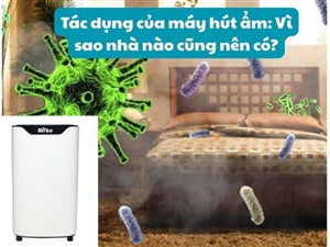Tác dụng của máy hút ẩm: Vì sao nhà nào cũng nên có?