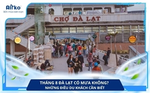 Tháng 8 Đà Lạt Có Mưa Không? Những Điều Du Khách Cần Biết