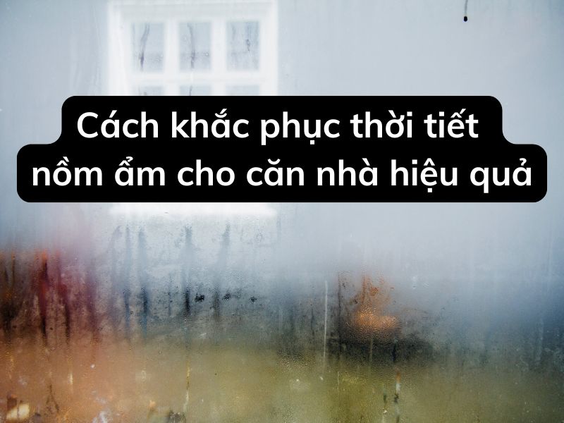 Cách khắc phục thời tiết nồm ẩm cho căn nhà hiệu quả