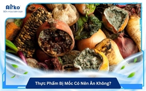 Thực Phẩm Bị Mốc Có Nên Ăn Không? Những Rủi Ro Cần Biết