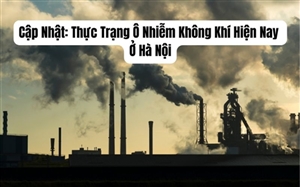 Cập Nhật: Thực Trạng Ô Nhiễm Không Khí Hiện Nay Ở Hà Nội