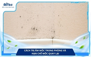 Cách trị ẩm mốc trong phòng và hạn chế mốc quay lại