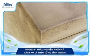 Tường bị mốc: Nguyên nhân và cách xử lý theo từng tình trạng