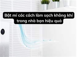 Bật mí các cách làm sạch không khí trong nhà bạn hiệu quả