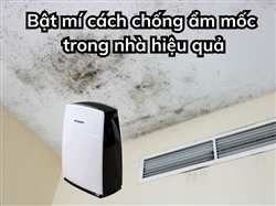 Bật mí cách chống ẩm mốc trong nhà hiệu quả