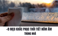 +9 Mẹo Khắc Phục Thời Tiết Nồm Ẩm Trong Nhà