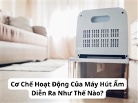 Cơ Chế Hoạt Động Của Máy Hút Ẩm Diễn Ra Như Thế Nào?