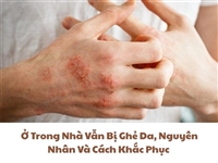 Ở Trong Nhà Vẫn Bị Ghẻ Da, Nguyên Nhân Và Cách Khắc Phục 