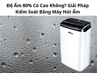 Độ Ẩm 80% Có Cao Không? Giải Pháp Kiểm Soát Bằng Máy Hút Ẩm